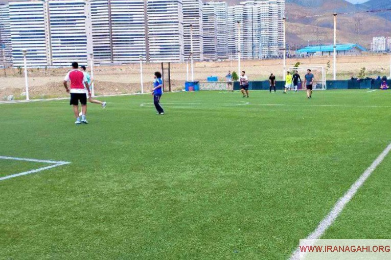 زمین فوتبال مصنوعی دانش تهران 