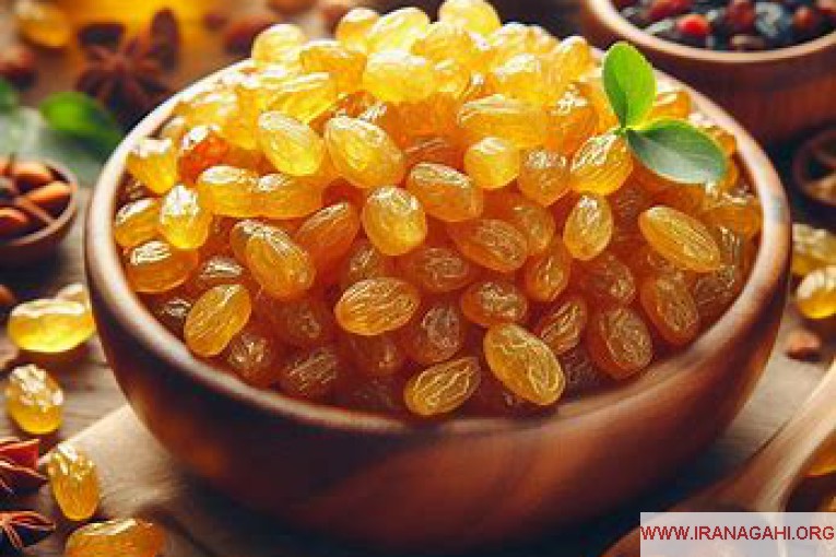 تامین و فروش عمده کشمش طلایی