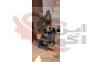 فروش توله سگ زیبا و ارزشمند گلدن رتریور سگ پرستار>