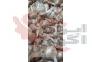 کاشت پیاز زعفران>