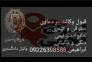 وکیل دادگستری>