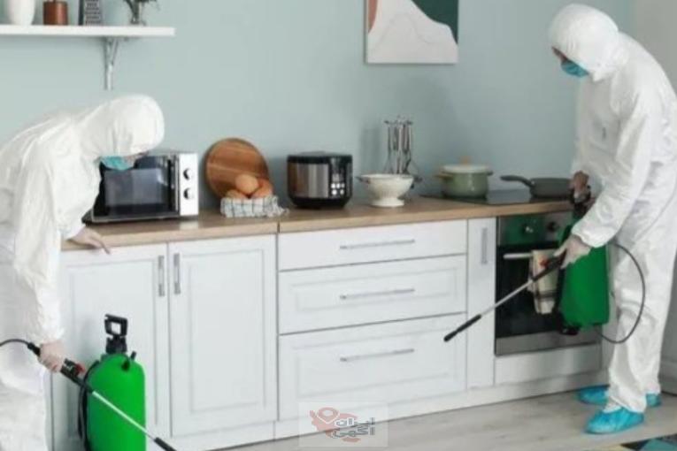 شرکت سمپاشی ساس، سوسک، موش، کنه، کک در تهران و کرج