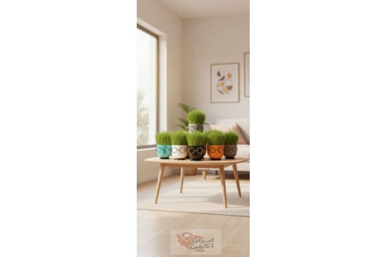 تولید کننده انواع گلدان پلاستیکی گرد مشکی + فروش عمده