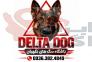 سگ ژرمن شپرد . باشگاه سگ های نگهبان . DELTA DOG>
