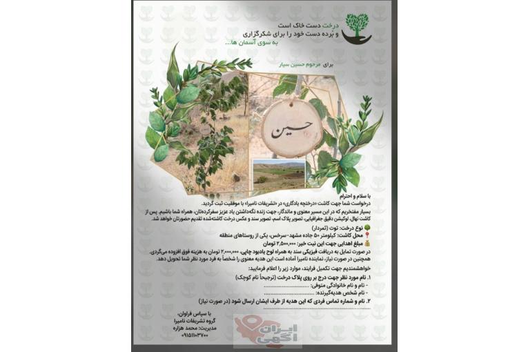درختچه یادبود نامیرا